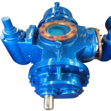 2021 High-Performance Standard Parts Twin Screw Pump Sewage Single Screw Pump